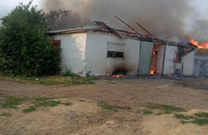 Загинуло 40 свиней: в Одеській області згоріла колишня ферма (фото)