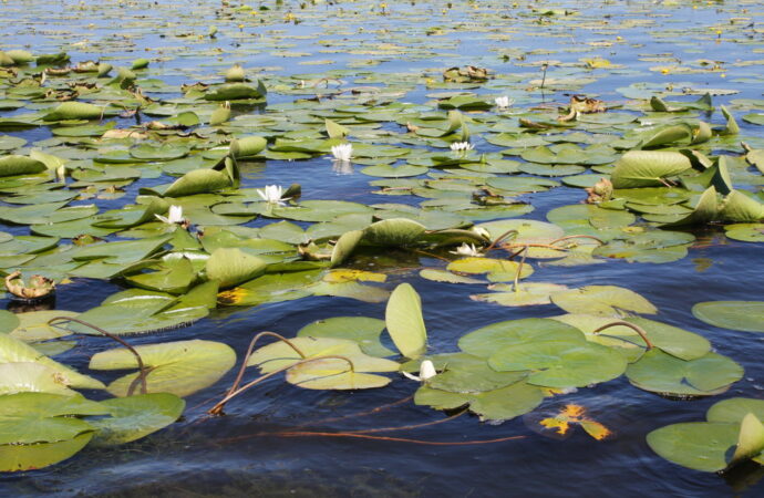 Белое озеро, Маяки