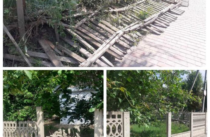 На Одещині двоє підлітків напідпитку зламали три паркани: батьки відновлювали власним коштом