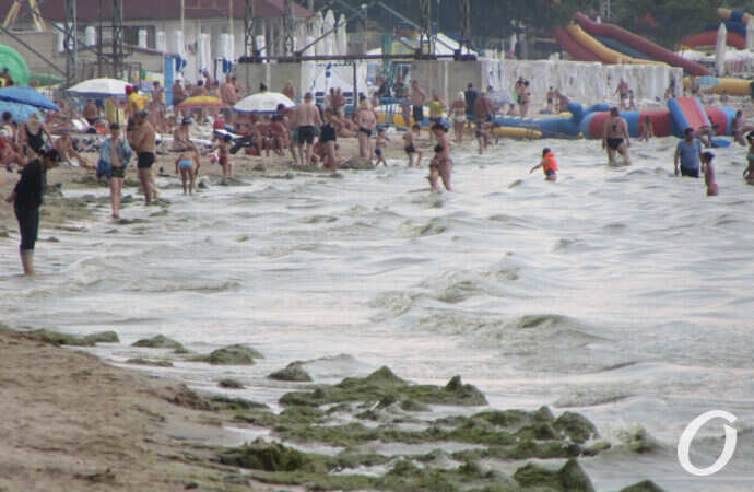 Температура морской воды в Одессе 2 июля: идти ли на пляж?