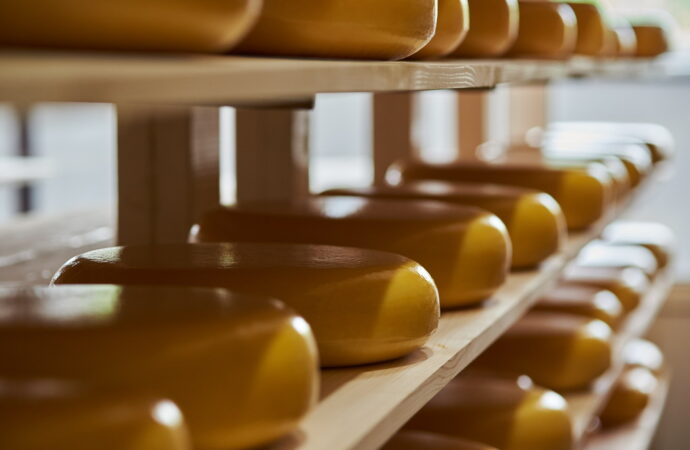 Европейская сыроварня, Шабо