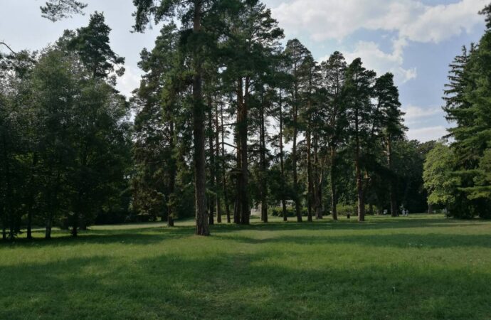 Парк Александрия