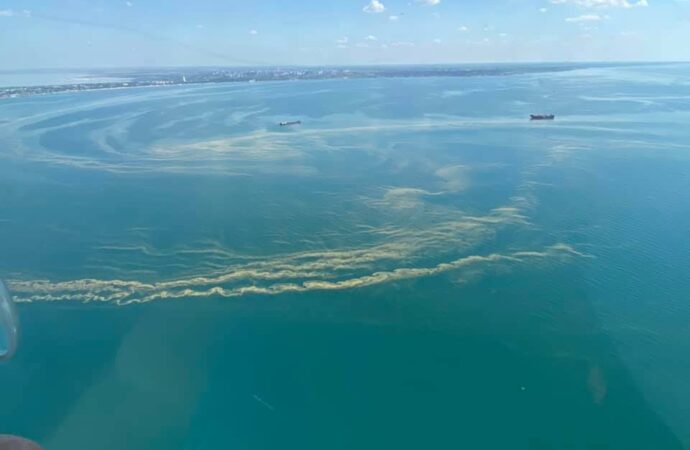 Вода в Черном море стала как кисель, купаться не рекомендуют (фото)