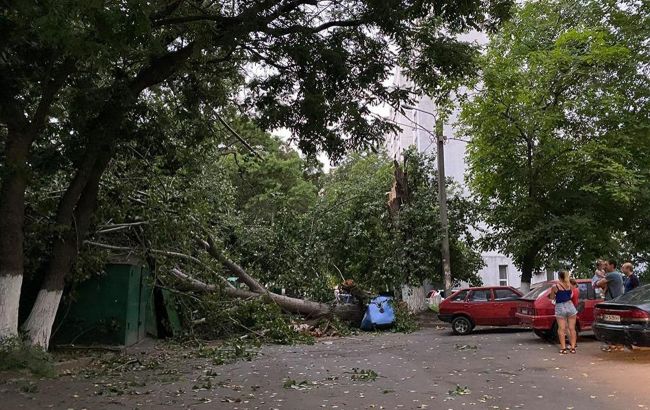 Пострадавшие люди и упавшие деревья: в Одессе ликвидируют последствия урагана