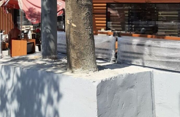 В Одессе появился варварский «памятник»: живое дерево закатали в бетон (фото)