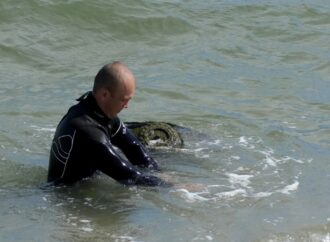 Як у Чорноморську знешкоджували морську міну? (відео)