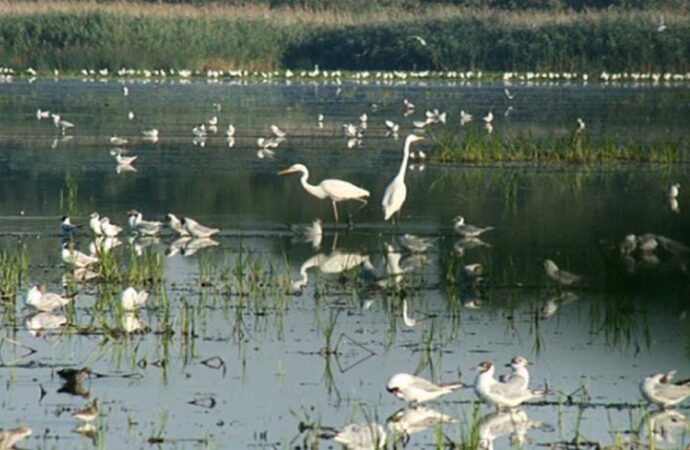 Минэкологии оцифровало национальный парк в Одесской области