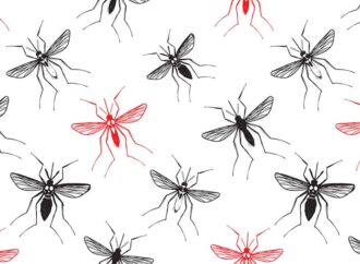 Как снять зуд от укусов комаров?