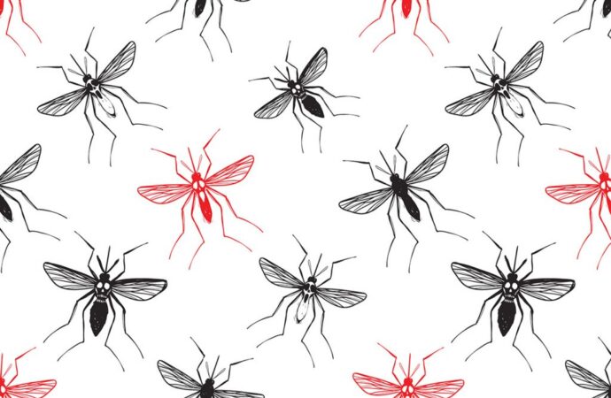 Как снять зуд от укусов комаров?