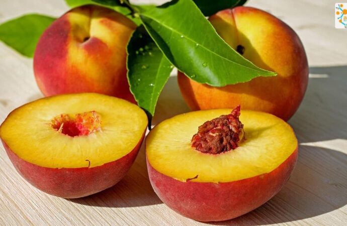 Дачные советы: почему плод, сорванный с дерева, вкуснее, чем купленный на рынке?