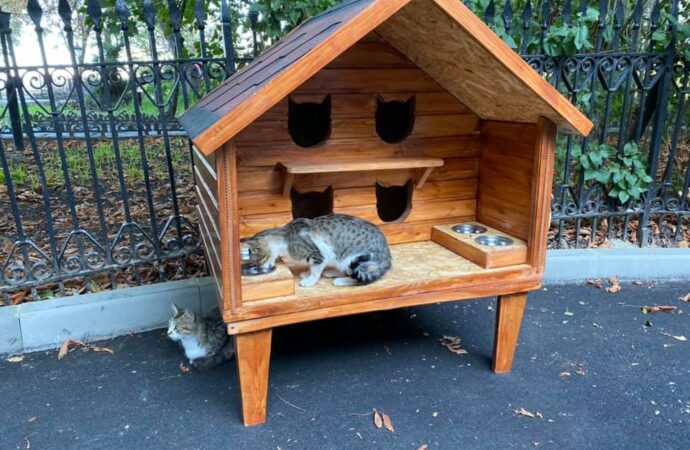 Новый куратор области и двухэтажный дом для котов: коротко о вчерашних одесских новостях