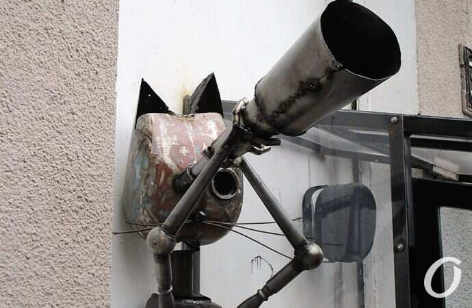В Одессе поселился кот-астроном с телескопом