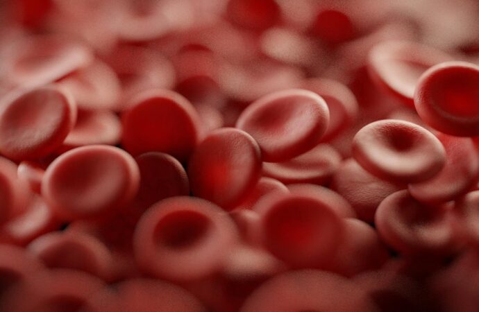 Где одесситам узнать свою группу крови?