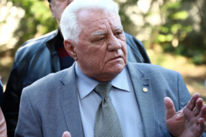 благоустройству зеленой зоны на ул. Армейской