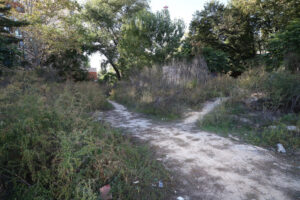 благоустройству зеленой зоны на ул. Армейской