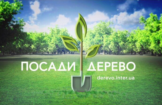 В Одесской области за 5 лет срубили почти 400 тыс. деревьев
