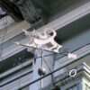 На одесском балконе проживает кот-флюгер (фото)