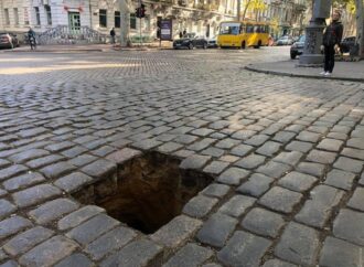 В центре Одессы замаскировали зеленью провал в асфальте (фото)