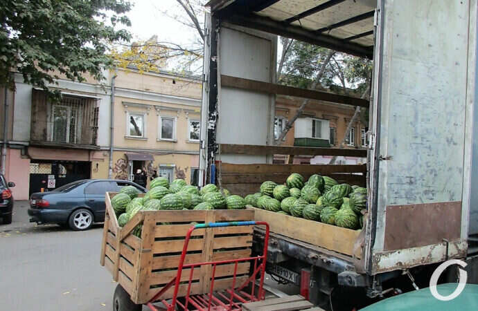 арбузы. торговля