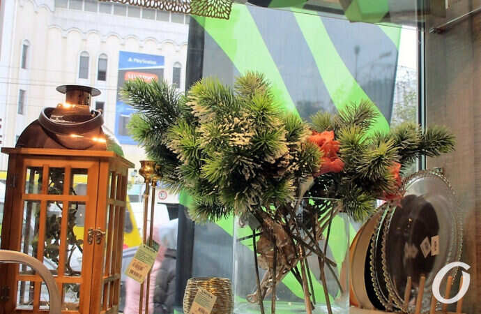 еловые ветки