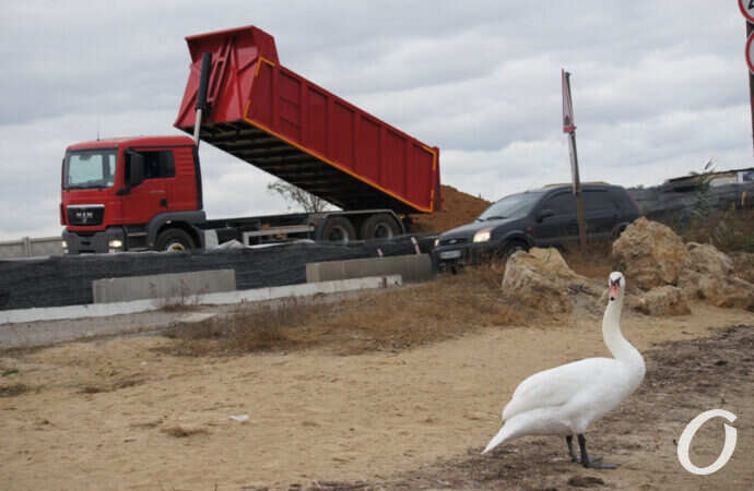 самосвал и лебедь