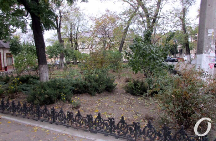 сквер, клумба