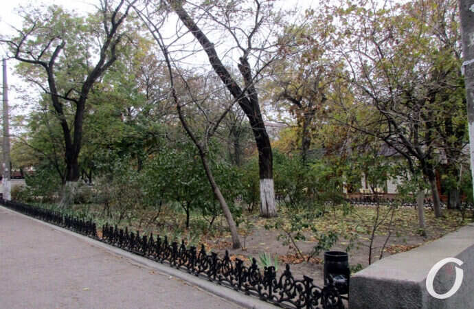 одесский сквер, аллея