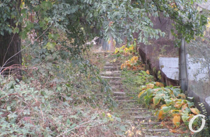 Люстдорф, лесенка