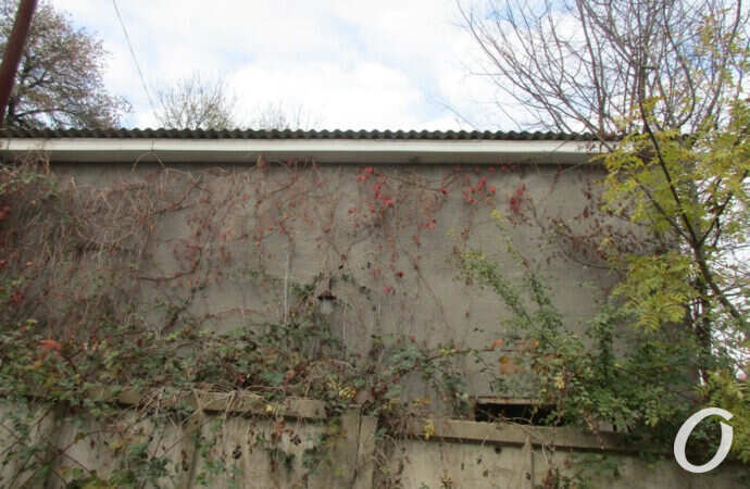 Люстдорф, стена