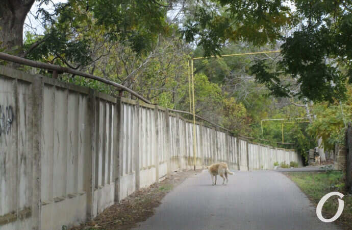 Люстдорф, улица