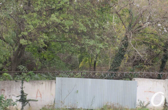 Люстдорф, территория бывшего санатория