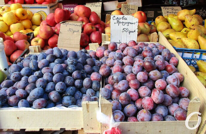 Новый рынок, слива