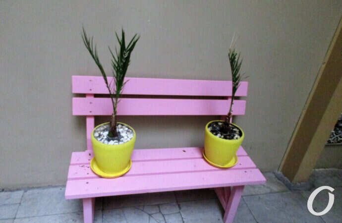 парадная, цветы