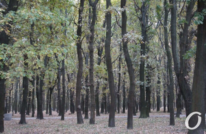 411 батарея, ноябрь