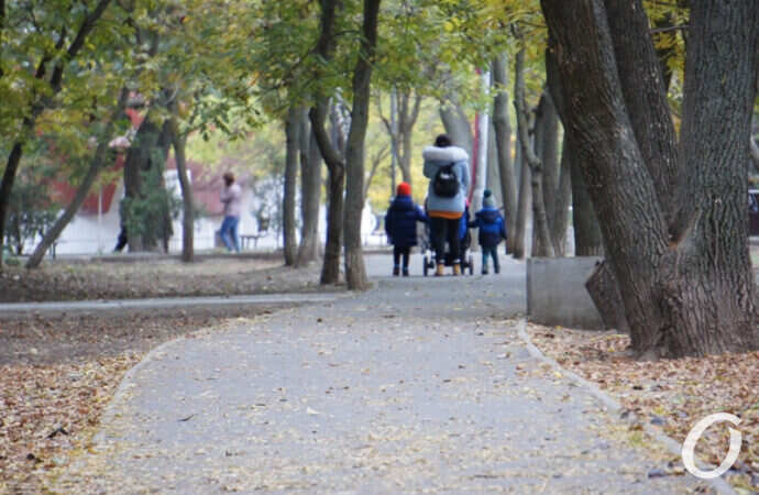 прогулка в парке с детьми