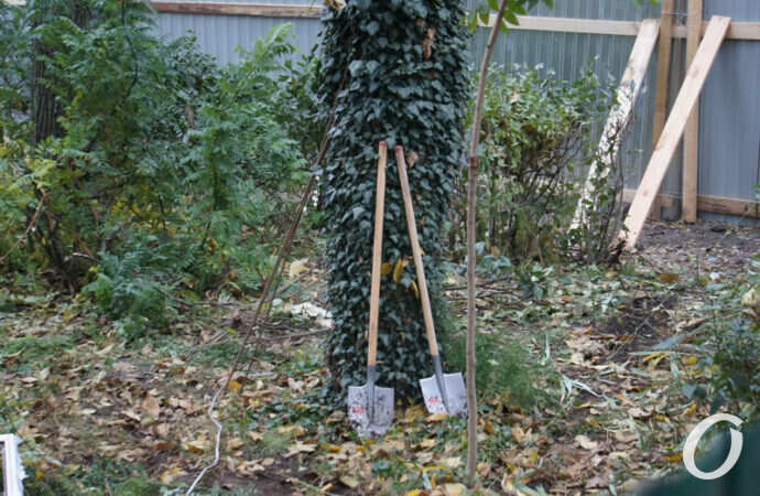 стройка, самострой