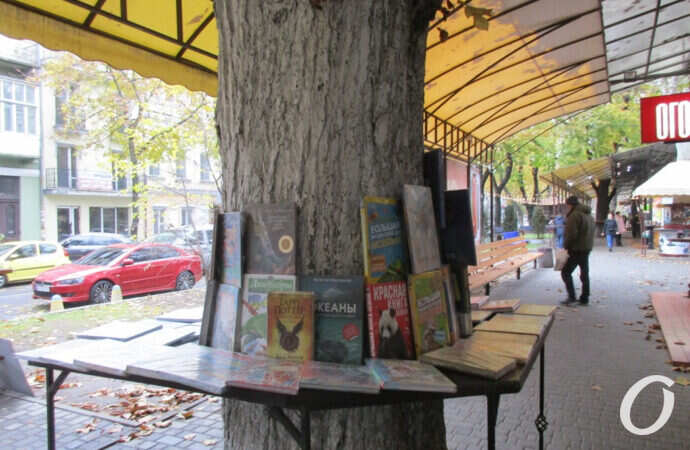 одесская Книжка, дерево, книги