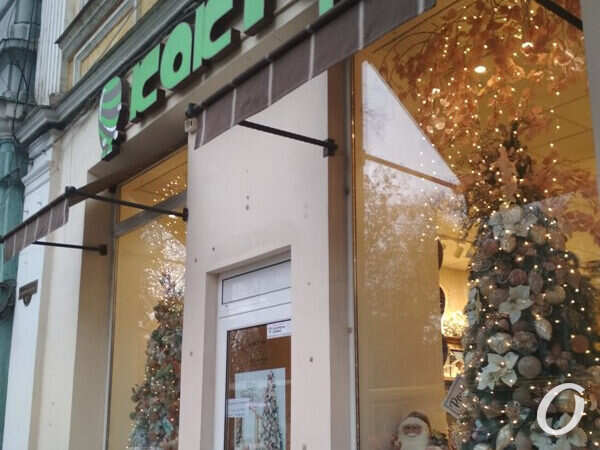 кактус, витрина