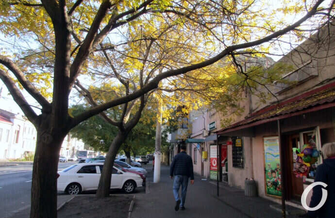 прогулка по Мясоедовской