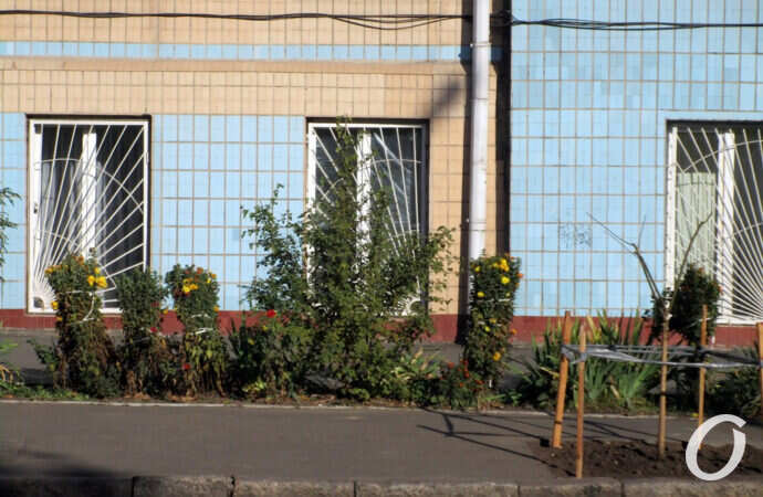 на улице Мясоедовской в Одессе