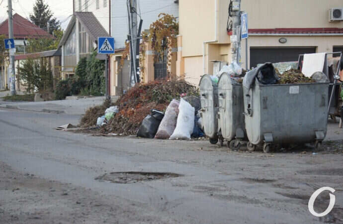 улица Толбухина, баки с мусором