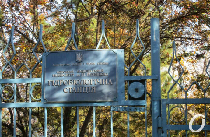 Трасса здоровья, забор