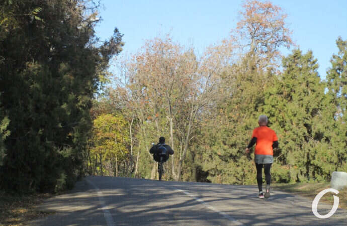 пробежка ан Трассе здоровья