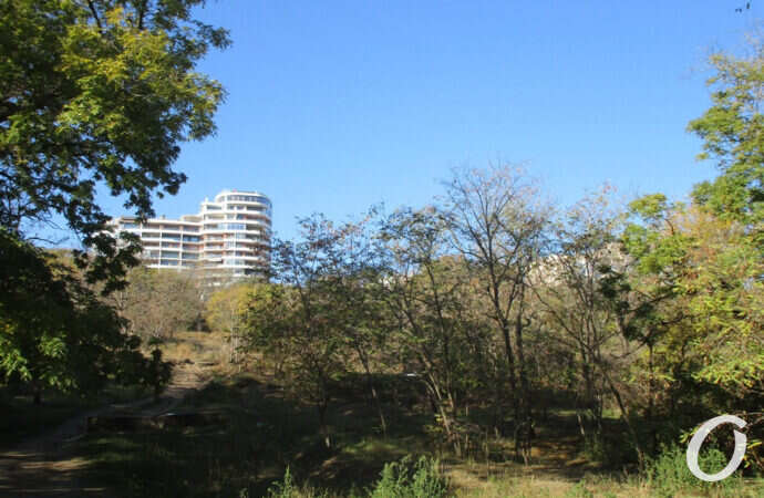 Трасса здоровья, высотка