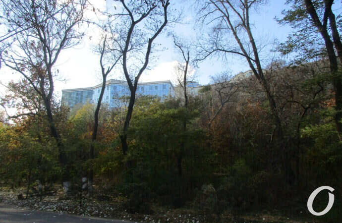 на Трессе здоровья в Одессе