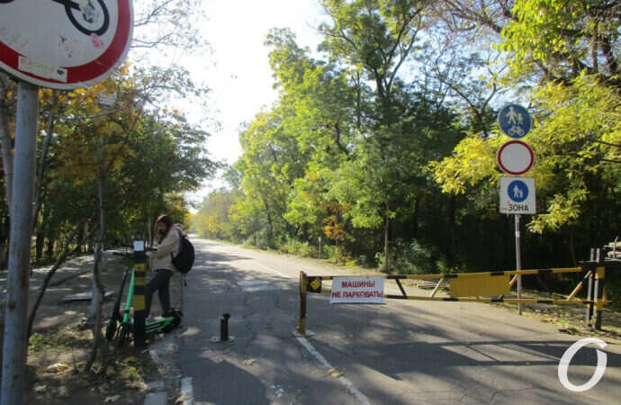 Трасса Здоровья