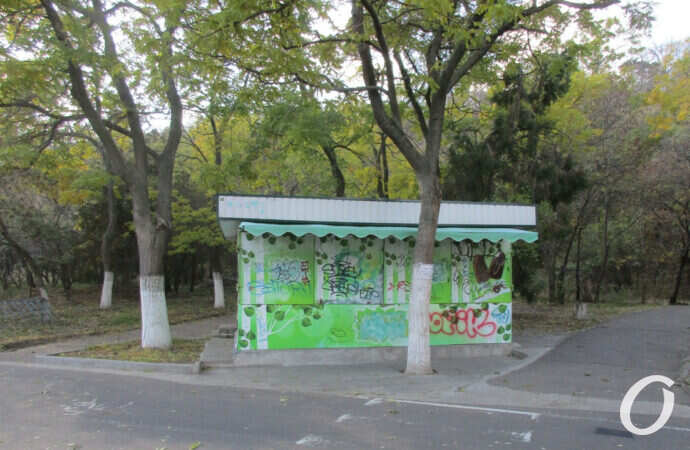 МАФ на Трассе здоровья