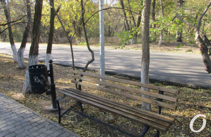 Трасса здоровья, скамейка