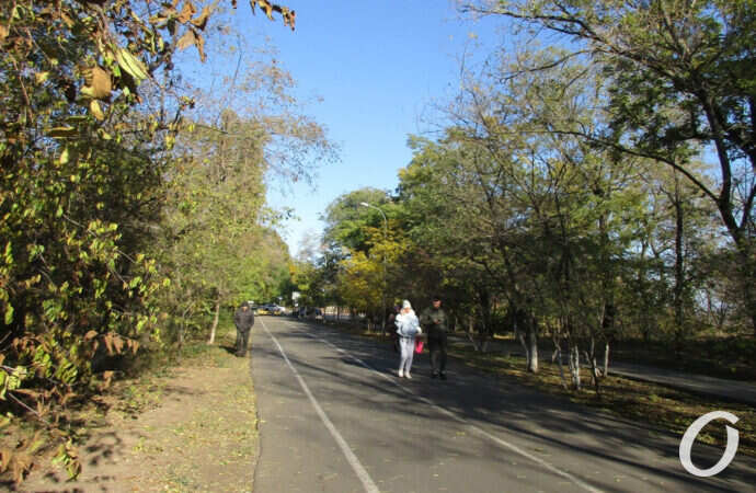 прогулка по Трассе здоровья