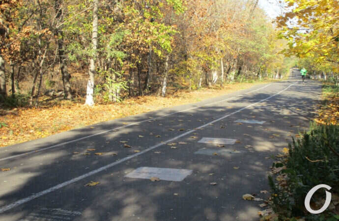 Одесская Трасса здоровья